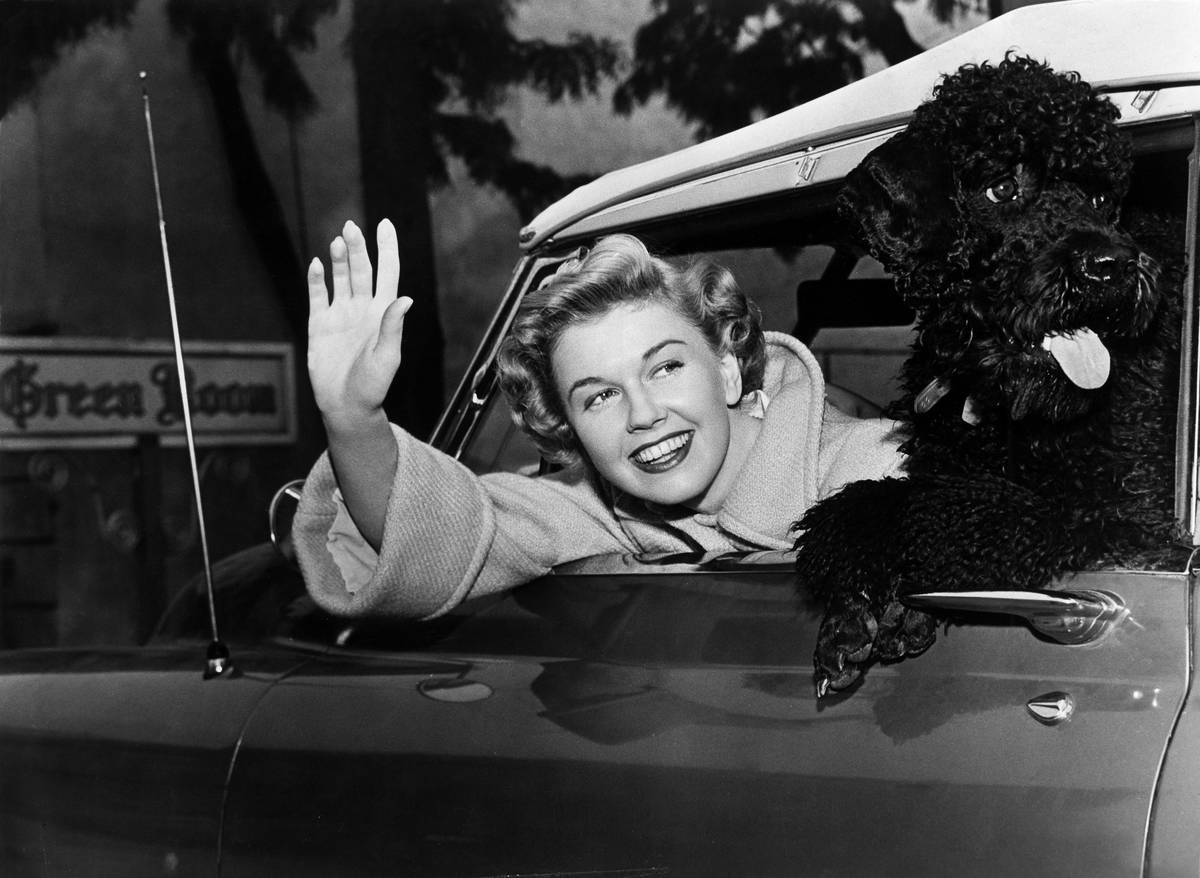 Doris Day*03.04.1924-Actress, USAwith a poodle in her car.- about 1955