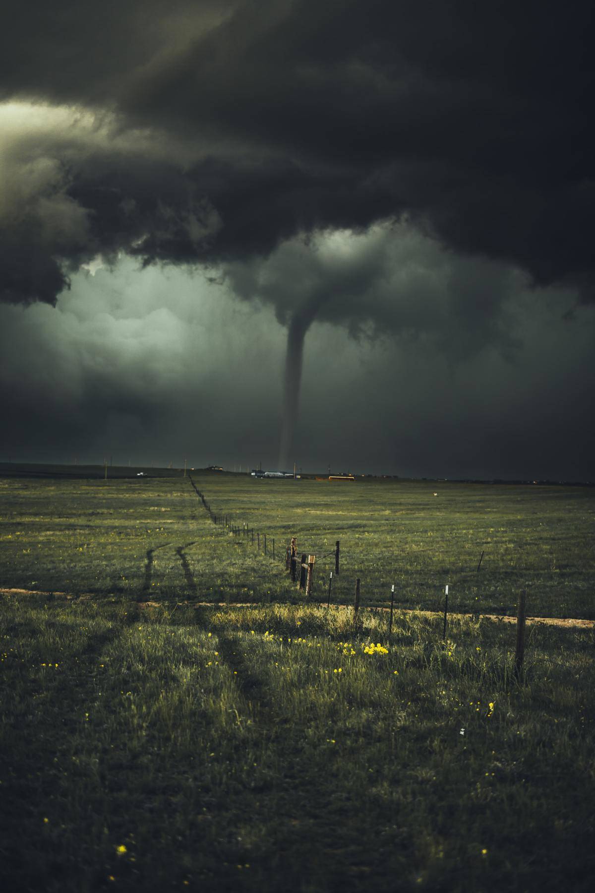 nikolas-noonan-fQM8cbGY6iQ-unsplash