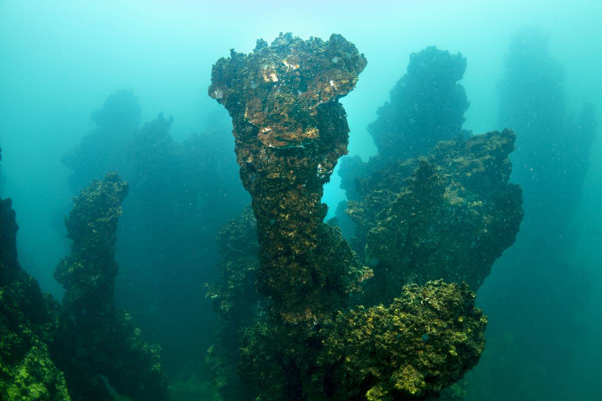 Microbialites: 'Fairy chimneys' of Lake Van
