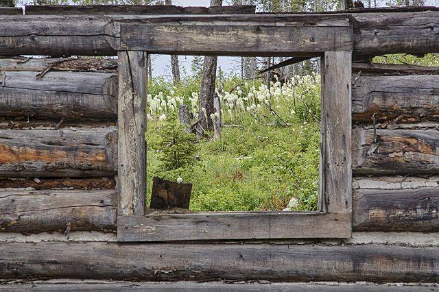 Garnet_Ghost_Town,_Montana_(15452983788)