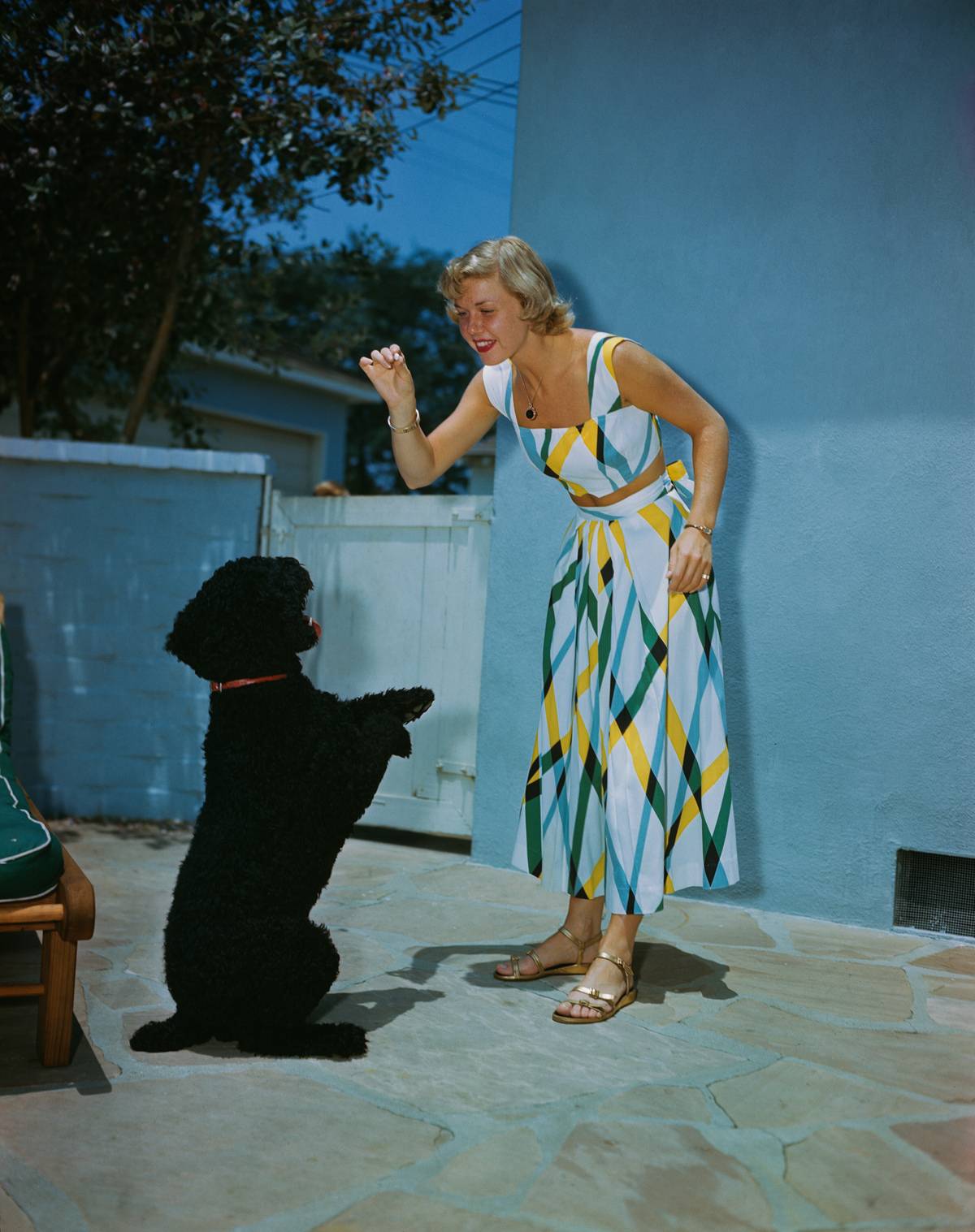 Doris Day