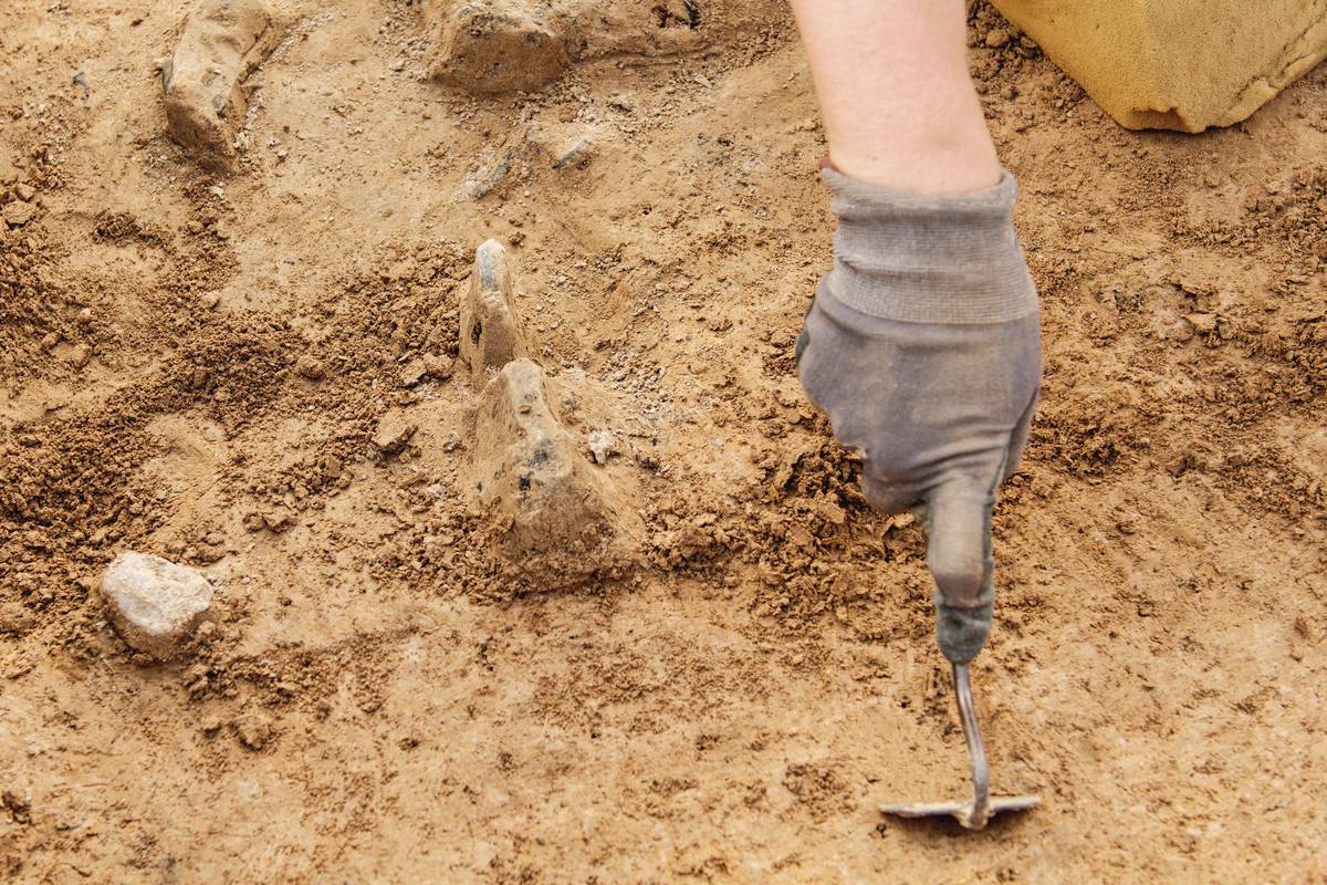 archeological-tools-archeologist-working-on-site-2021-08-30-13-27-19-utc (1)