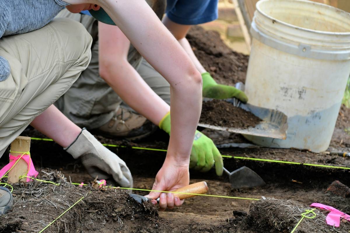 archeologist-at-archeological-dig-excavation-at-a-2022-11-14-04-07-04-utc