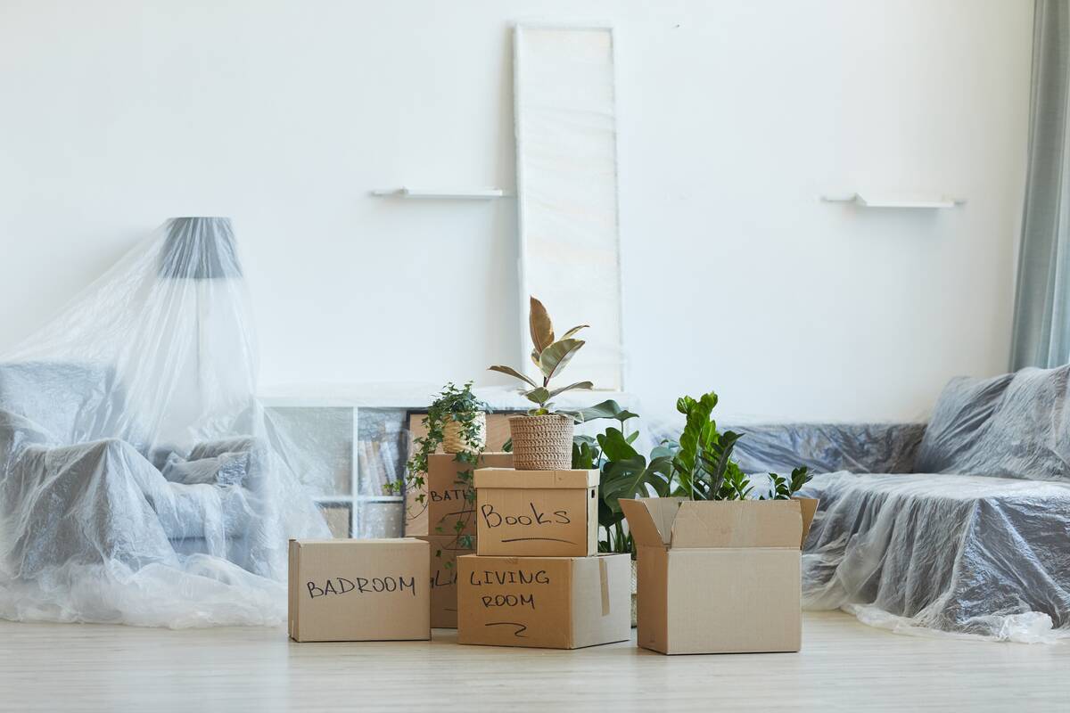 boxes-with-things-in-apartment-2022-02-02-03-56-25-utc