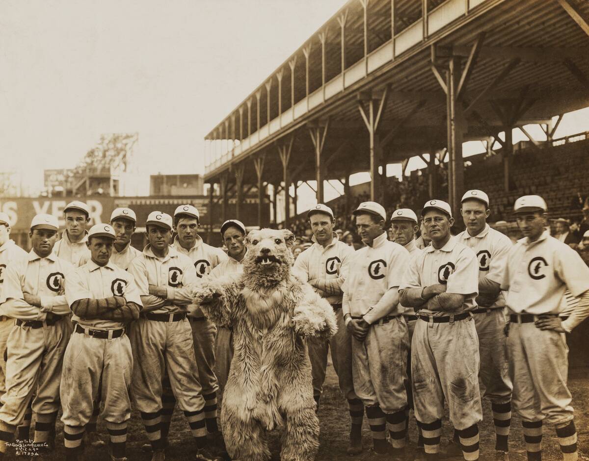 Portrait of the Chicago Cubs baseball team, with the team's mascot, as  they pose on the field at West Side Grounds, Chicago, Illinois, 1908.