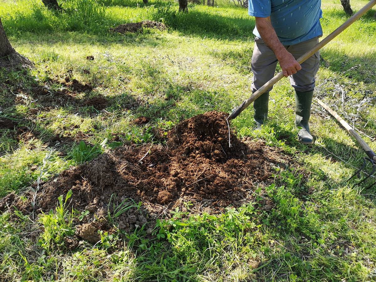 closeup-shot-of-a-farmer-digging-farmland-and-dis-2023-02-28-23-41-42-utc