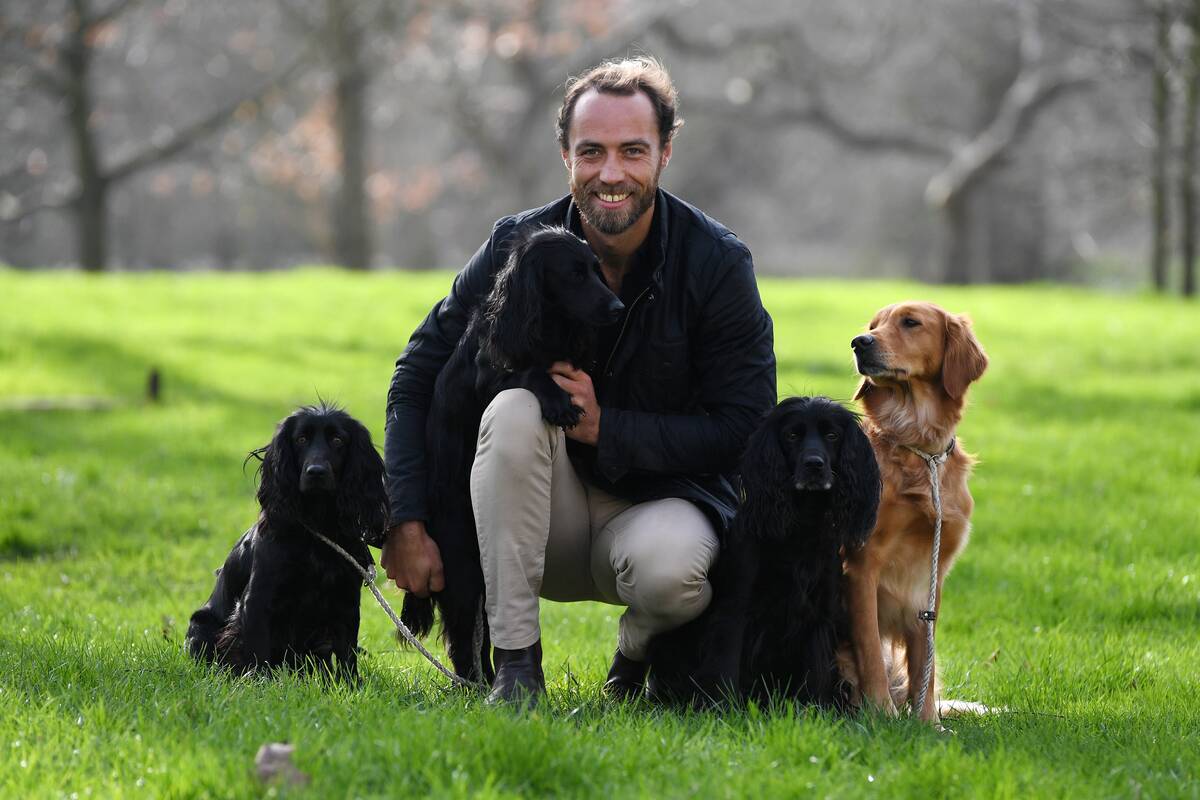Crufts 2020