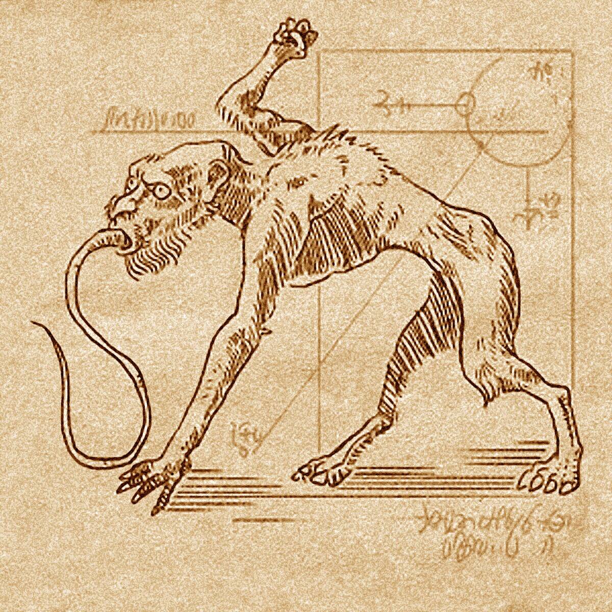 An Aswang (or Asuwang) is a vampire-like mythical creature in Filipino folklore and is the subject of a wide variety of myths and stories.