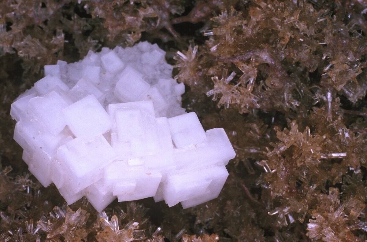 Halite, commonly called rock salt; it can be used as a culinary salt, and Gypsum from salt lake, Lake Johnston, Western Australia