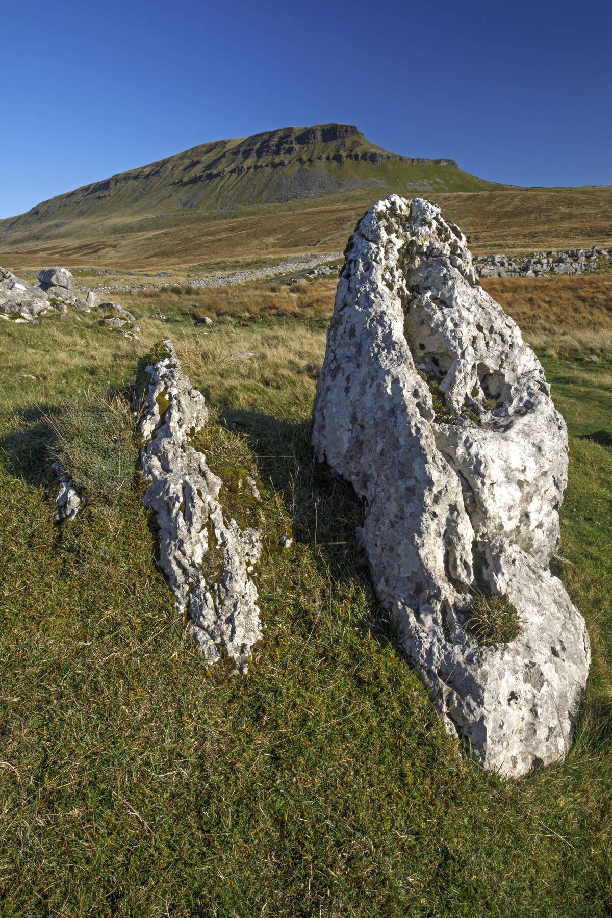 Penyghent and eroded limestone rocks above Ribblesdale