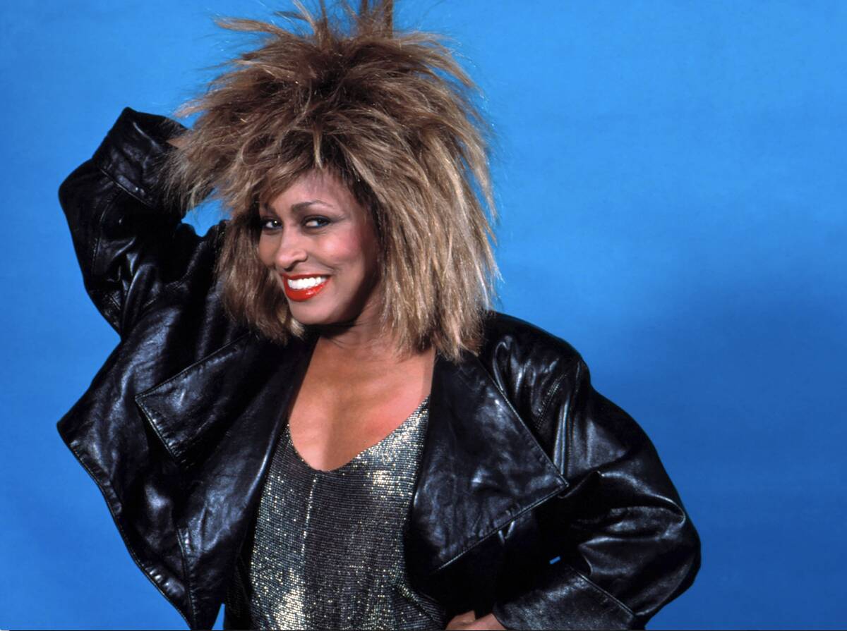 Tina Turner In Detroit