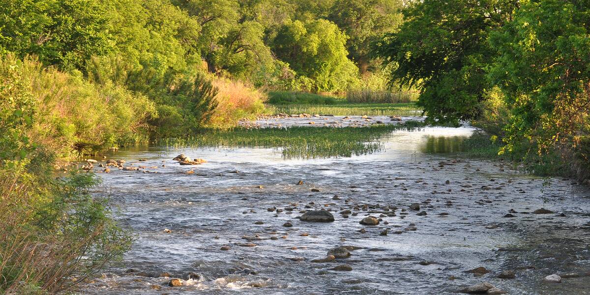 San_Saba_River_near_Sloan,_San_Saba_County,_Texas,_USA_(9_May_2014)