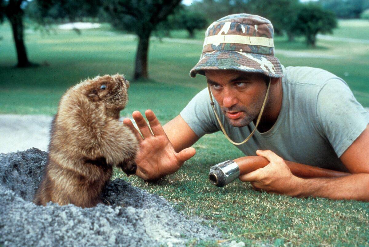 bill murray in caddyshack