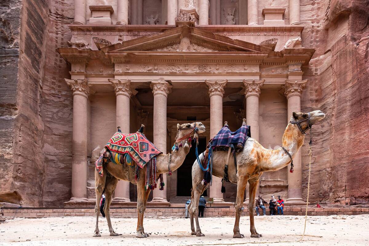Camels seen in front of The Treasury in Petra, a famous...