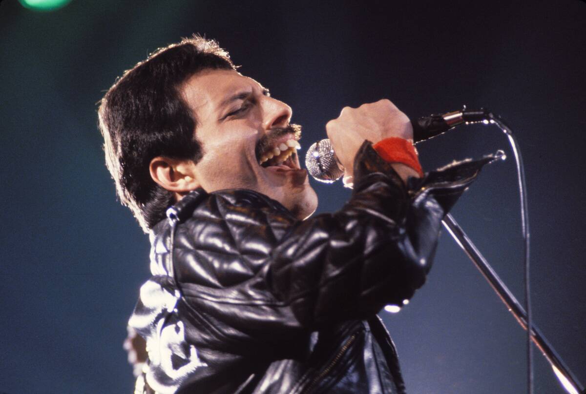 Queen File Photos from Northern California