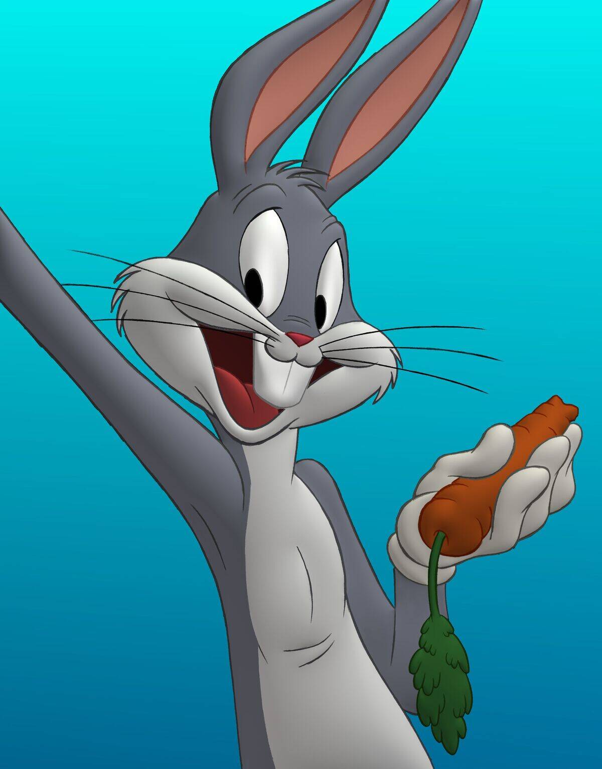 looney-tunes-back-in-action_5fb554db