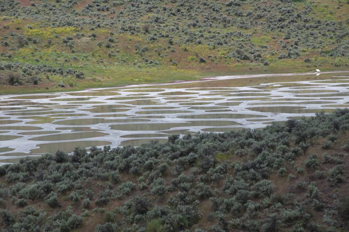 Osoyoos_ Spotted_Lake_(4762813753)
