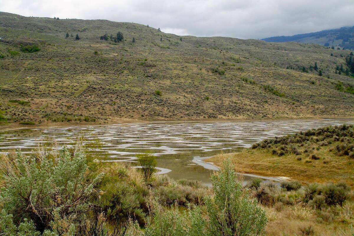 Spotted_Lake_ panoramio_(1)
