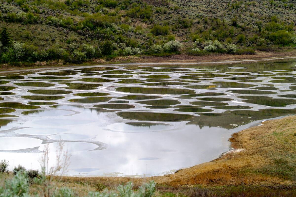Spotted_Lake_ panoramio_(3)
