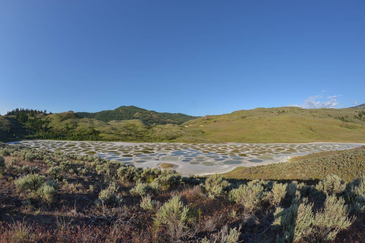 Spotted_Lake_(16087586855)