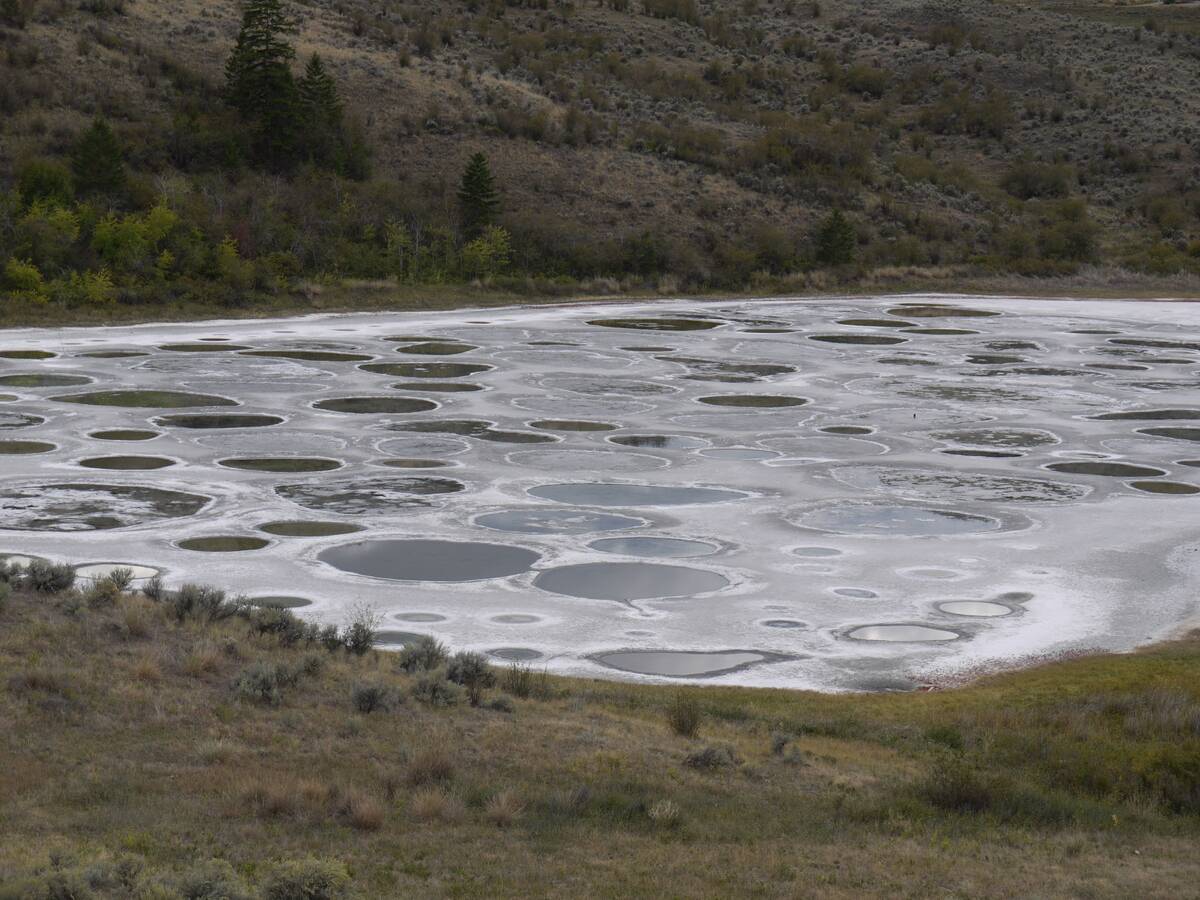 Spotted_Lake_(4294089698)