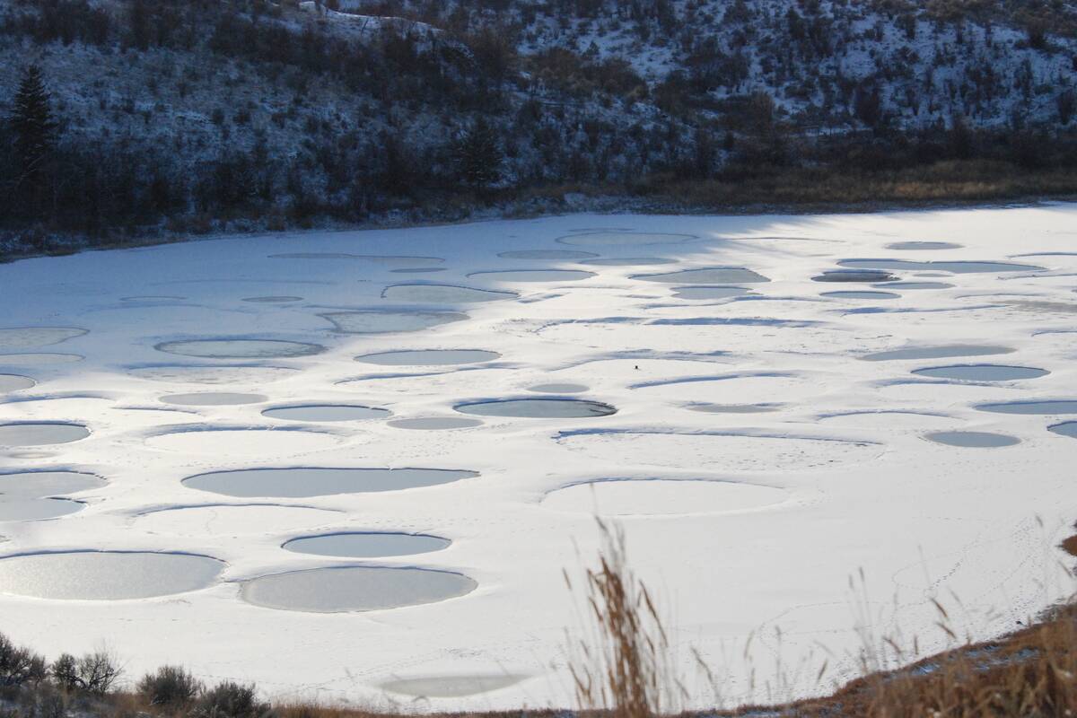 Spotted_Lake_Frozen_ panoramio_(1)