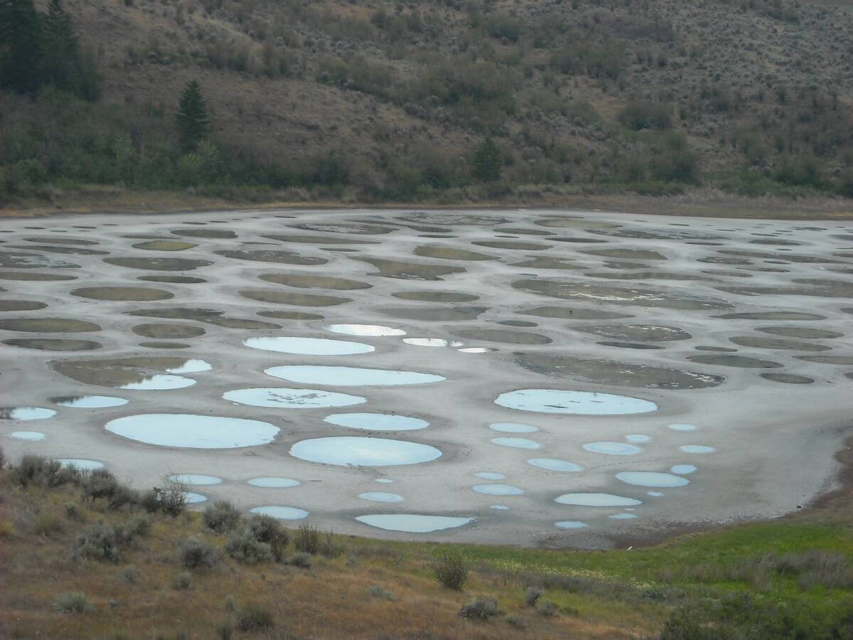 Spotted_Lake_close-up