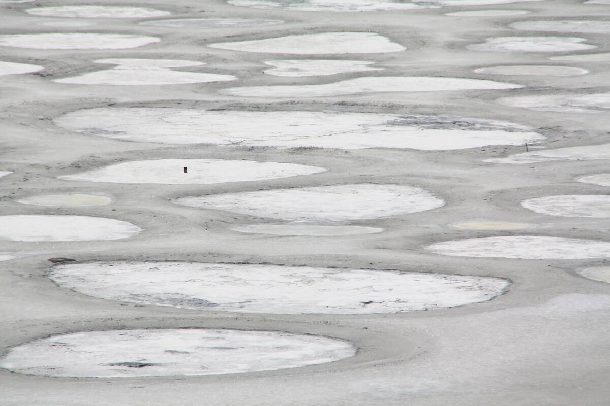 Spotted_Lake_near_Osoyoos,_from_Crowsnest_Highway_No_3,_BC_Canada_ panoramio