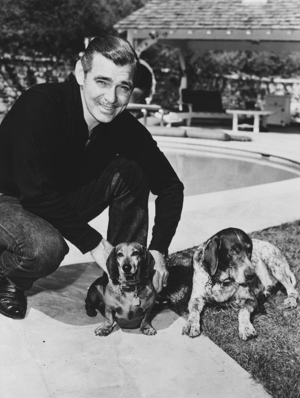Clark Gable And Dogs
