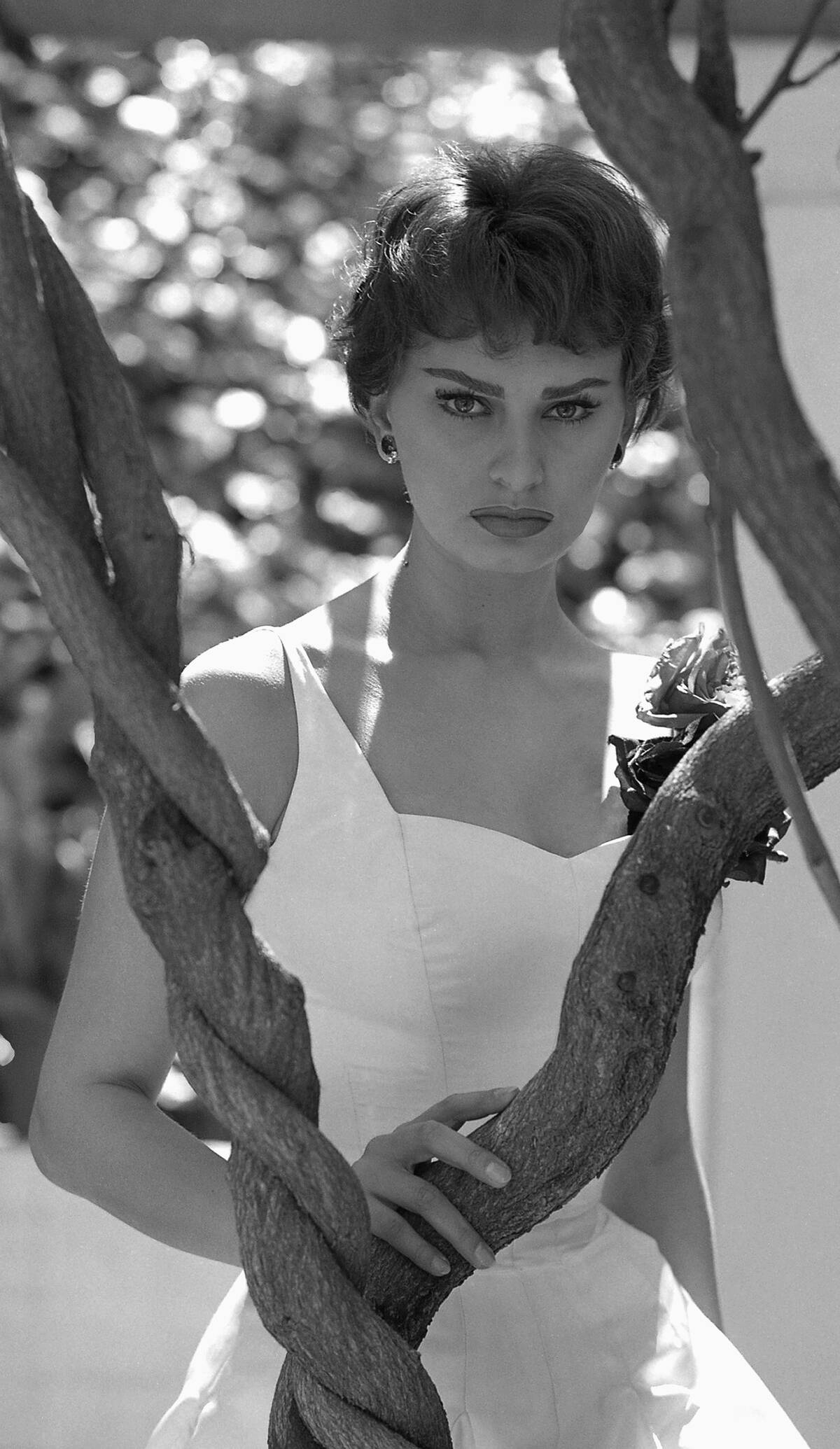 Sophia Loren Portrait Session