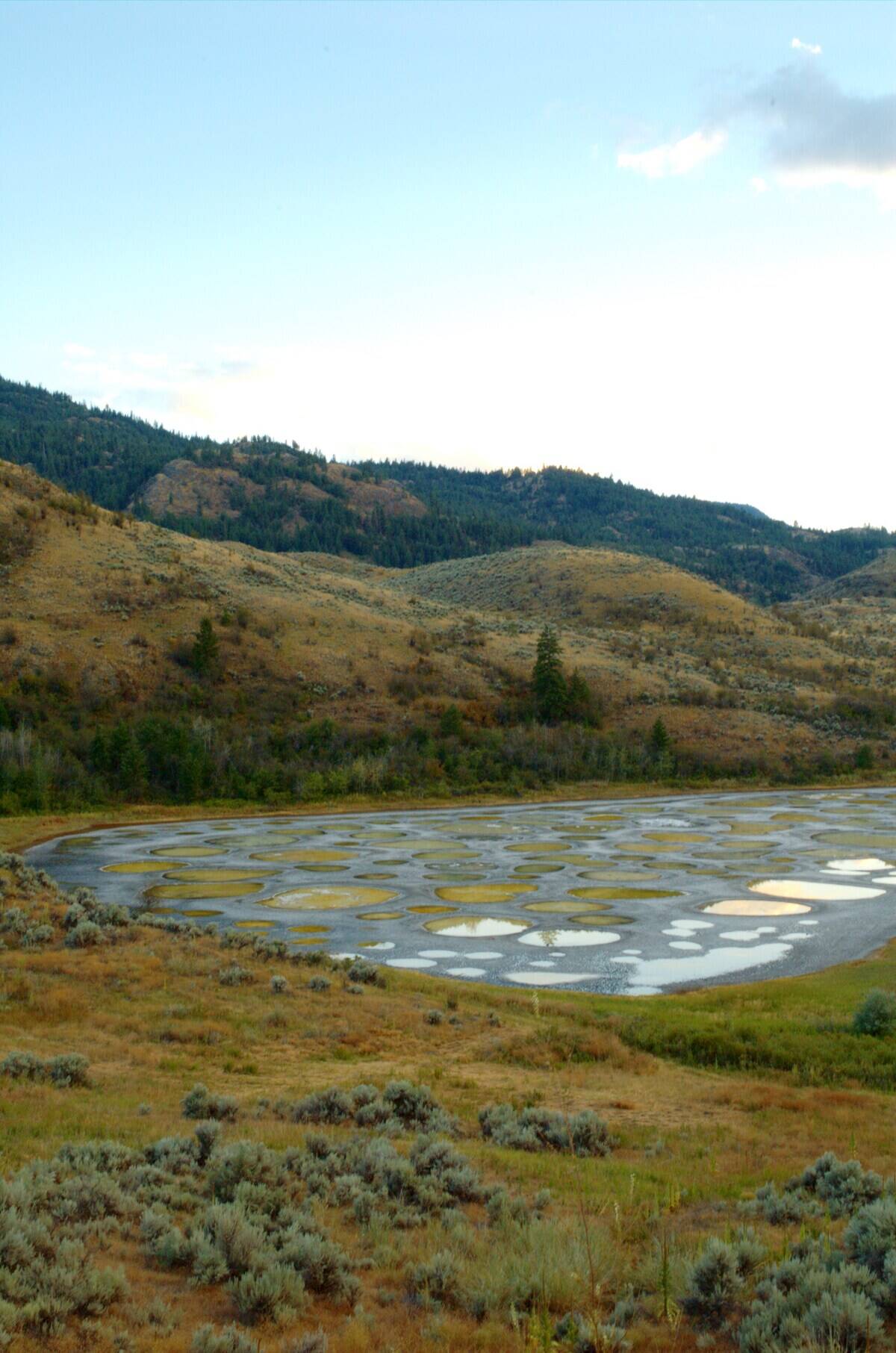 spotted lake Osoyoos_desert