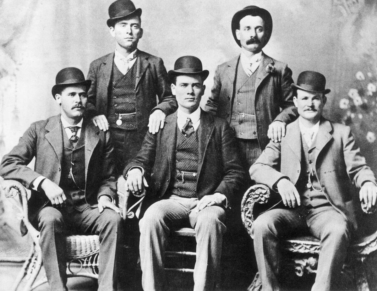 The Wild Bunch