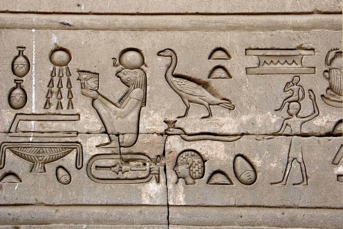 Ancient Egyptian [redacted] carved on the wall of Hathor Temple