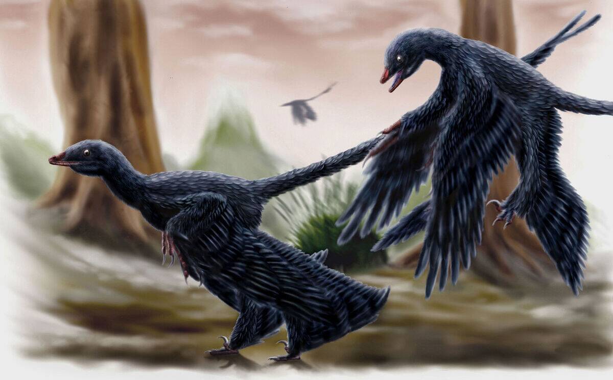 1920px-Microraptor_by_durbed