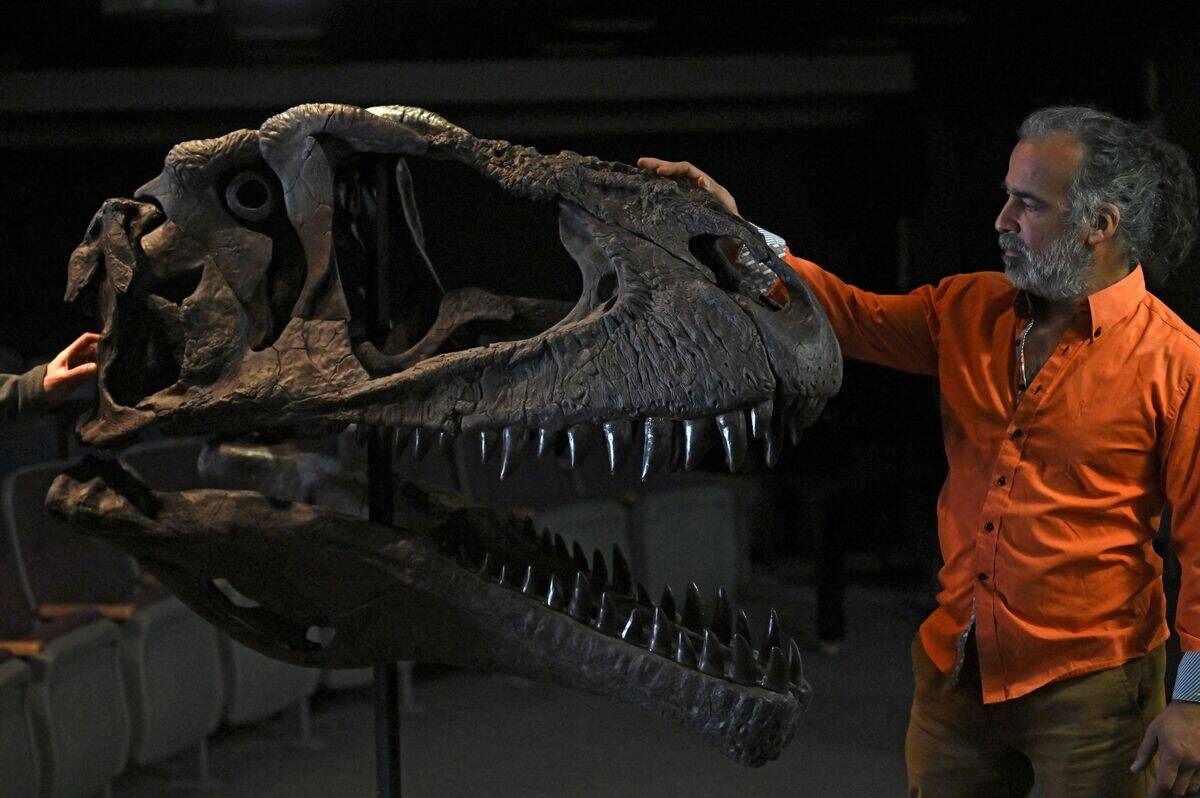 ARGENTINA-PALAEONTOLOGY-DINOSAUR-DISCOVERY