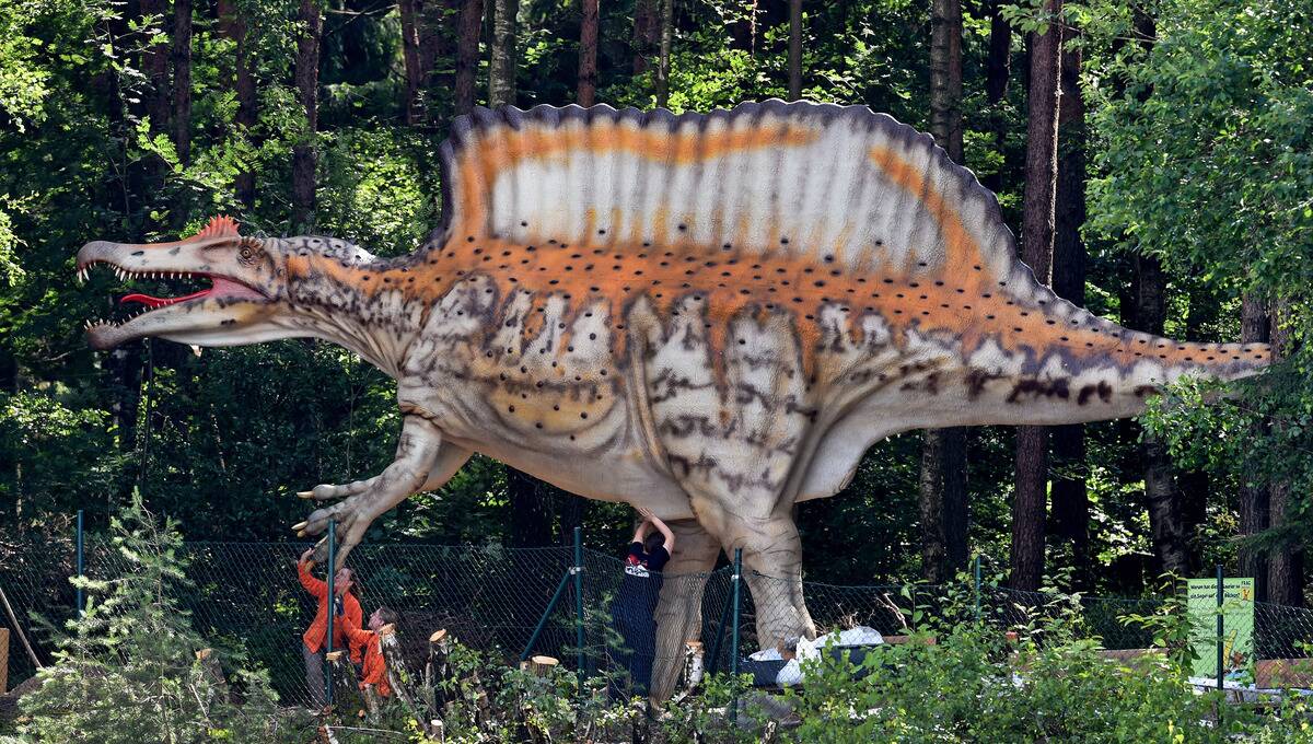 Dinosaur park Muenchehagen