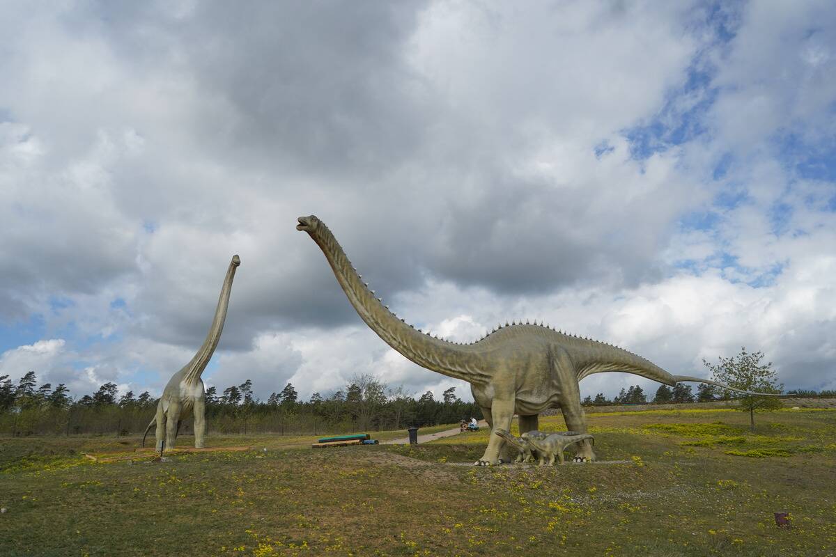 Germendorf Animal, Leisure and Prehistoric Park