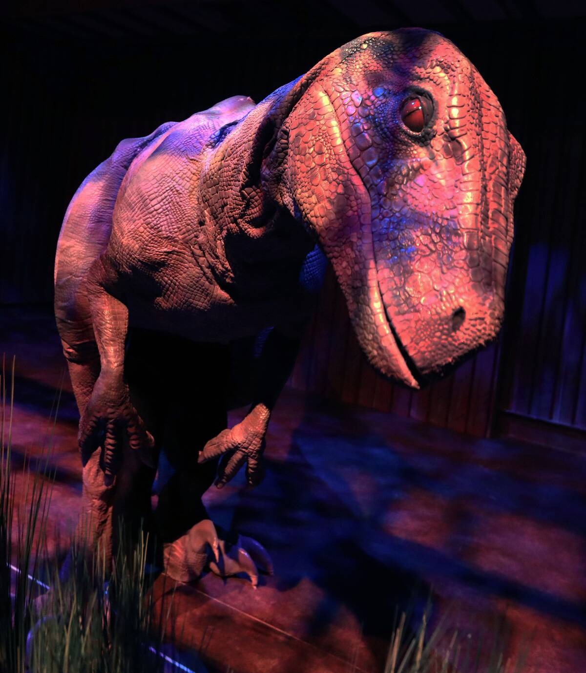 'Jrassic World' at Chicago's Field Museum