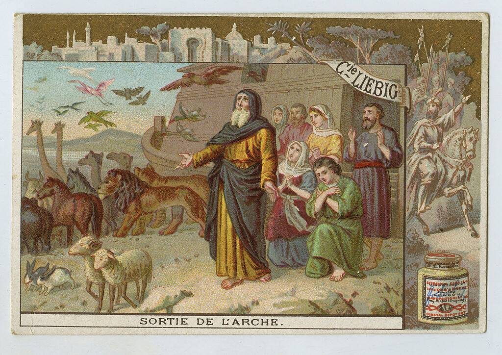 noah's ark illustration