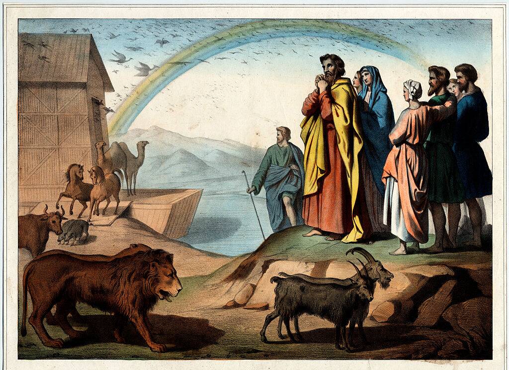 noah's ark illustration