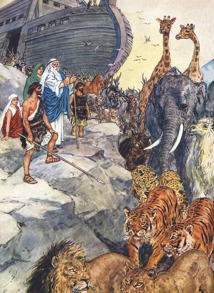 noah's ark illustration
