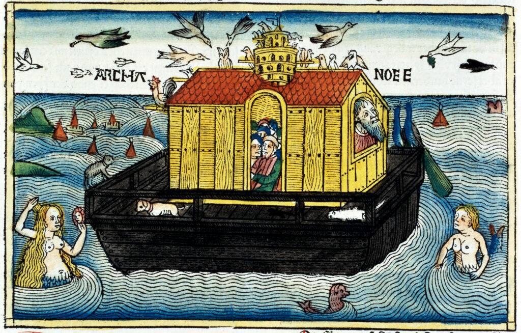 noah's ark illustration