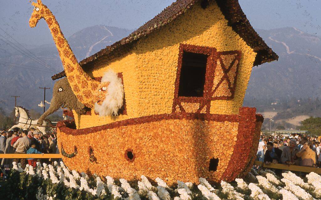 noah's ark made out of flowers