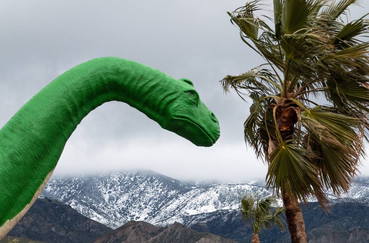 winter weather southland