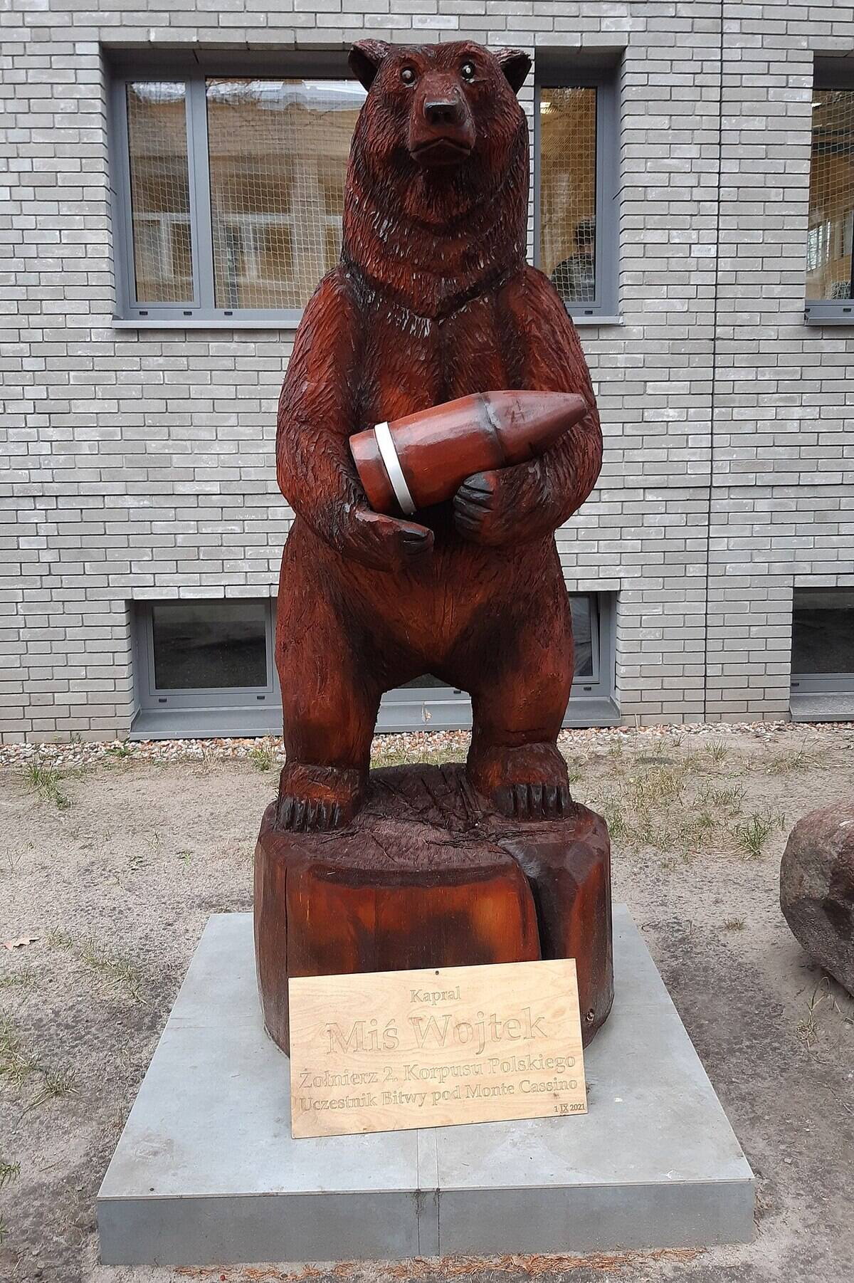 Miś_Wojtek_na_Konwiktorskiej