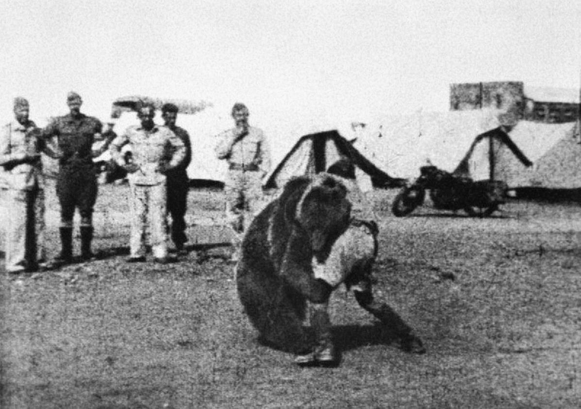 Wojtek wrestling