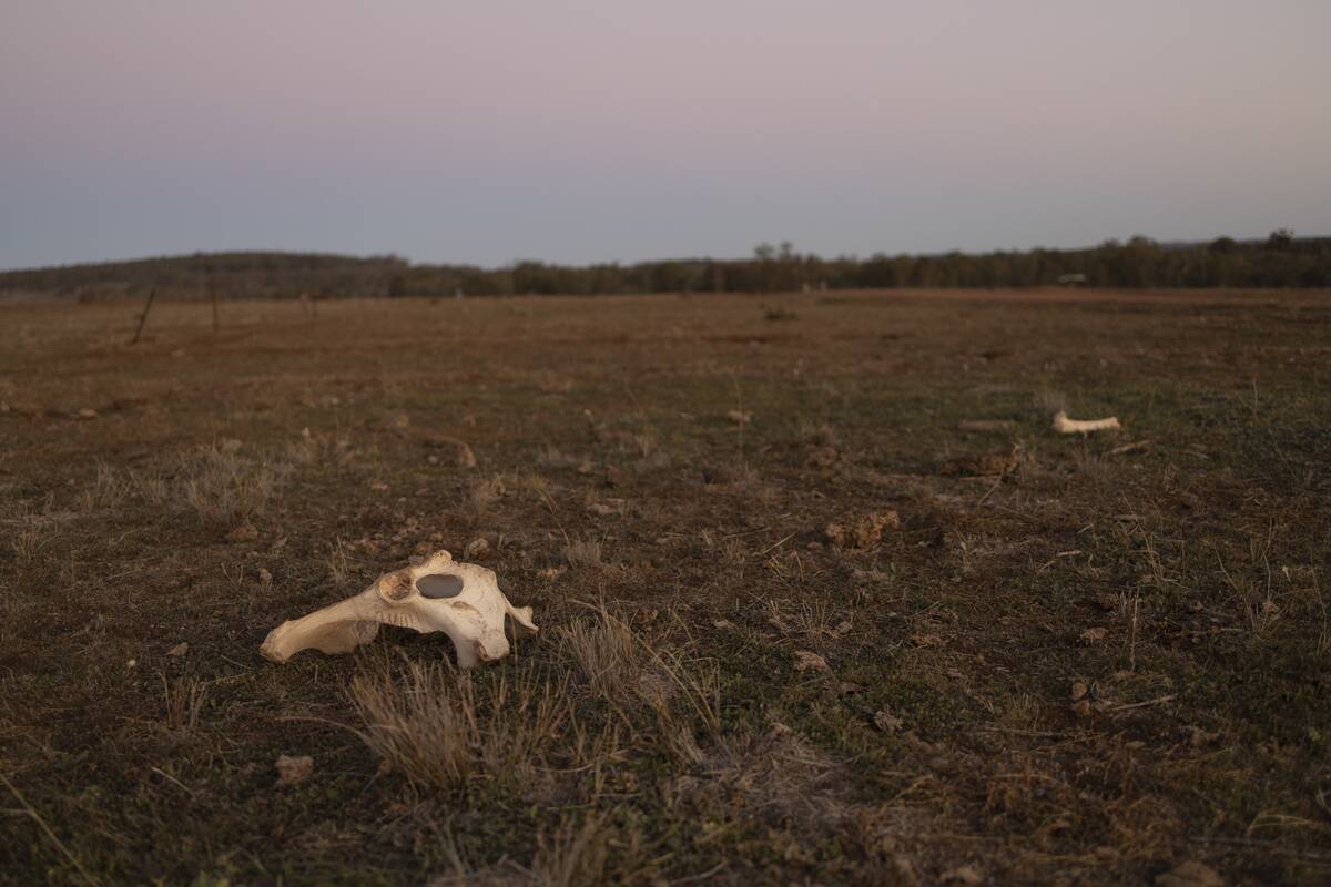 Farmers Continue To Battle Drought In New South Wales