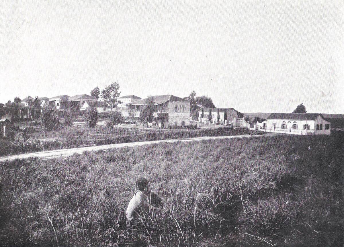 gedera