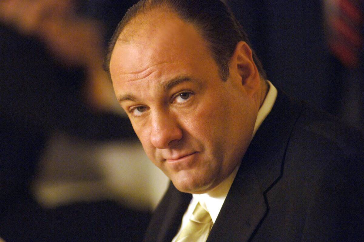 actor in the sopranos