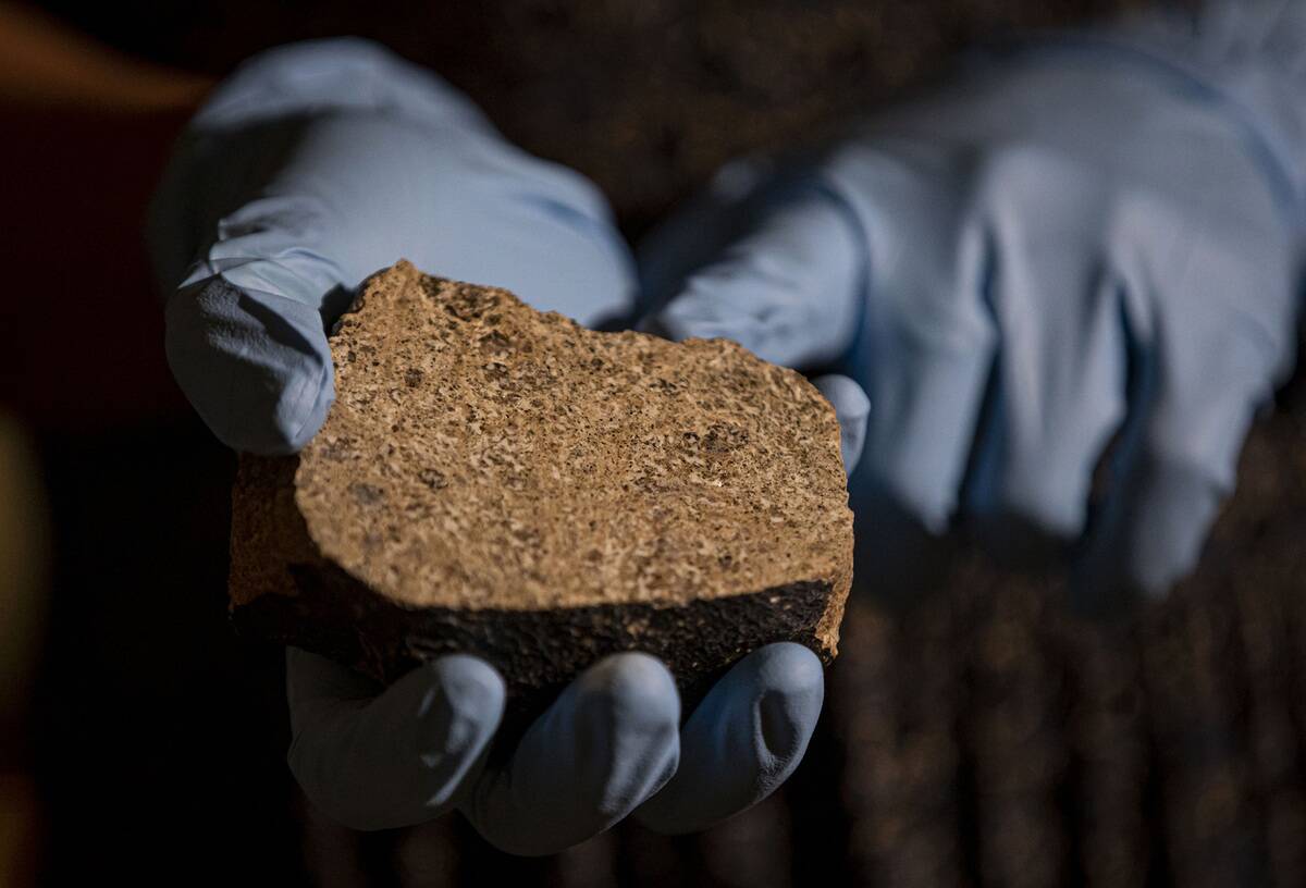 US-NEWS-SCI-ASTEROID-NASA-TB